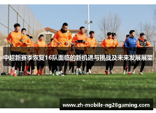 中超新赛季恢复16队面临的新机遇与挑战及未来发展展望