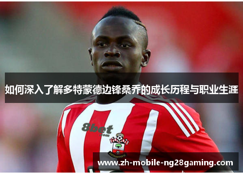 如何深入了解多特蒙德边锋桑乔的成长历程与职业生涯