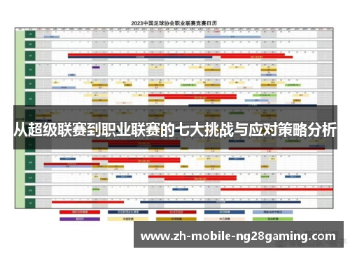 从超级联赛到职业联赛的七大挑战与应对策略分析