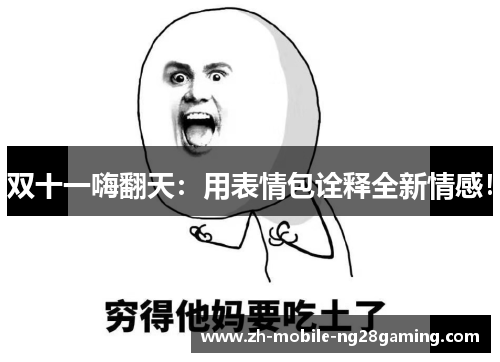 双十一嗨翻天：用表情包诠释全新情感！