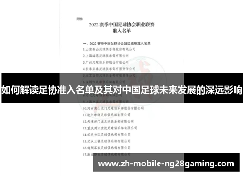 如何解读足协准入名单及其对中国足球未来发展的深远影响