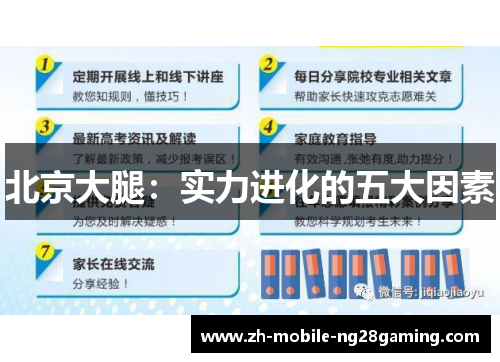 北京大腿：实力进化的五大因素