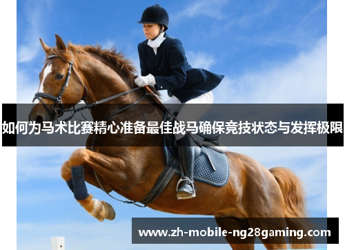 如何为马术比赛精心准备最佳战马确保竞技状态与发挥极限
