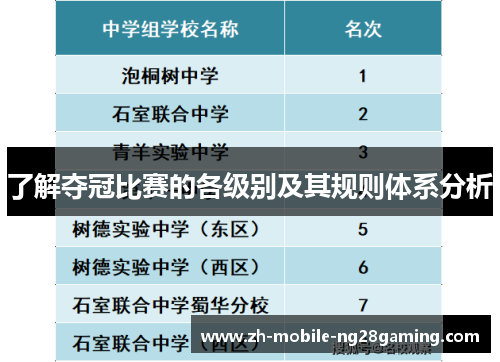 了解夺冠比赛的各级别及其规则体系分析