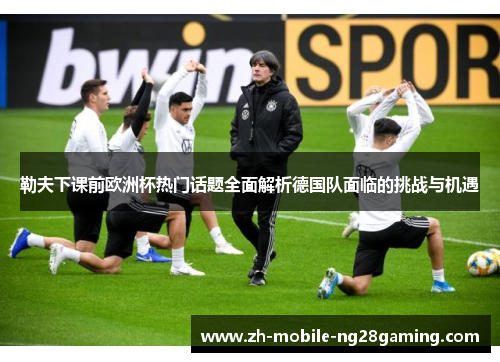 勒夫下课前欧洲杯热门话题全面解析德国队面临的挑战与机遇