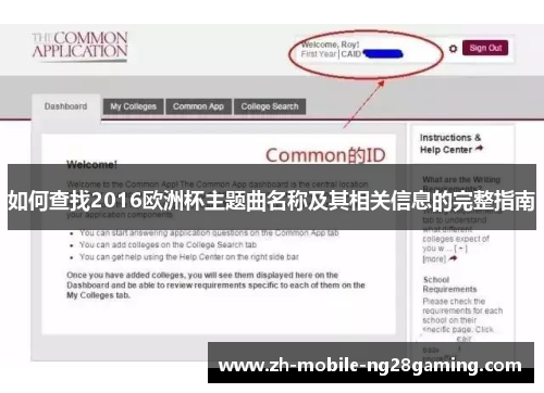如何查找2016欧洲杯主题曲名称及其相关信息的完整指南