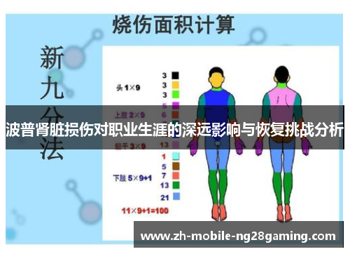波普肾脏损伤对职业生涯的深远影响与恢复挑战分析