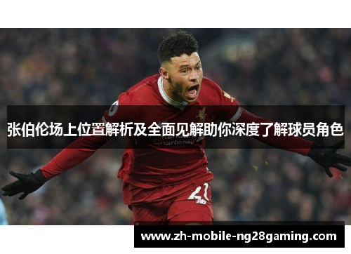 张伯伦场上位置解析及全面见解助你深度了解球员角色