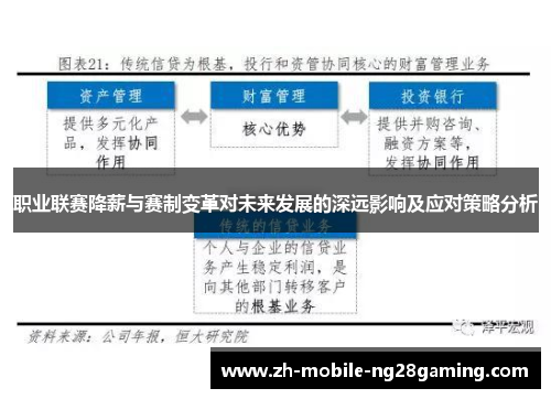 职业联赛降薪与赛制变革对未来发展的深远影响及应对策略分析