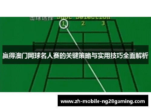 赢得澳门网球名人赛的关键策略与实用技巧全面解析