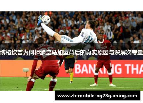 博格坎普为何拒绝皇马加盟背后的真实原因与深层次考量