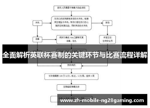 全面解析英联杯赛制的关键环节与比赛流程详解
