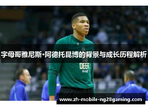 字母哥雅尼斯·阿德托昆博的背景与成长历程解析