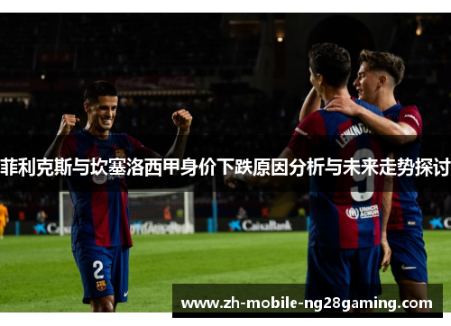 菲利克斯与坎塞洛西甲身价下跌原因分析与未来走势探讨
